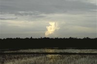 Rivières et rizières