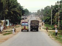 Camions