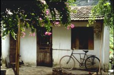 Velo